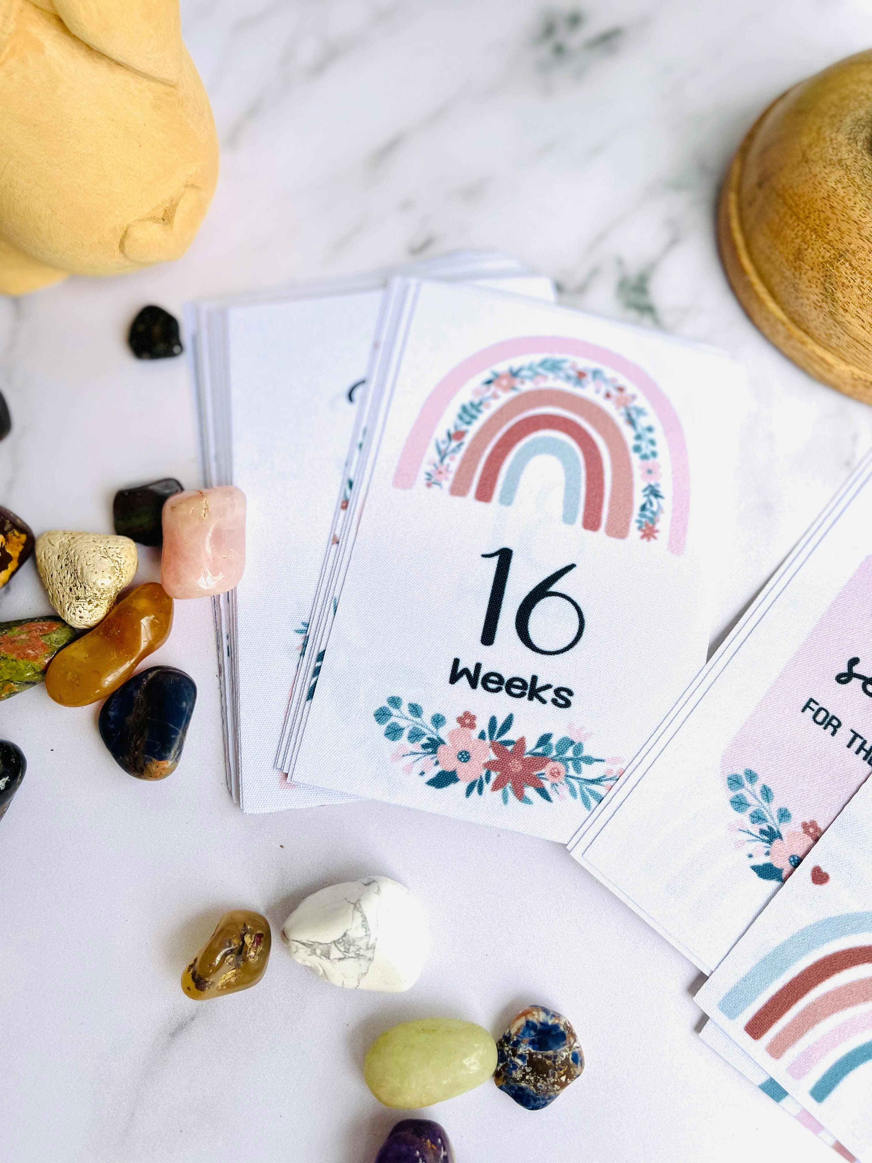 Miscarriage Risk by Week: How Probability Changes in Early Pregnancy